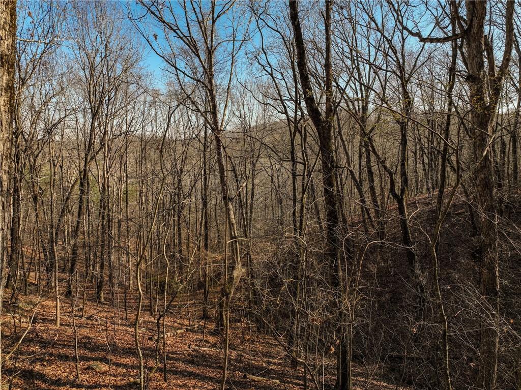 Lot 10 Mount Mincie Road Murrayville, GA 30564 - Photo 8 of 14 a view of a yard
