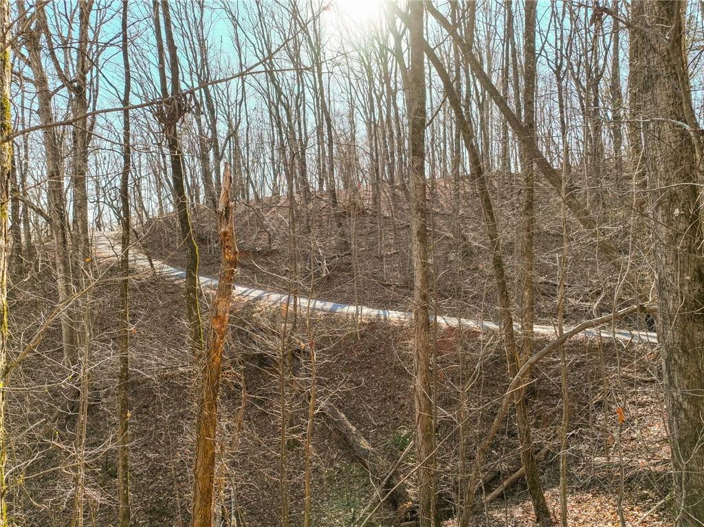 Lot 10 Mount Mincie Road Murrayville, GA 30564 - Photo 9 of 14