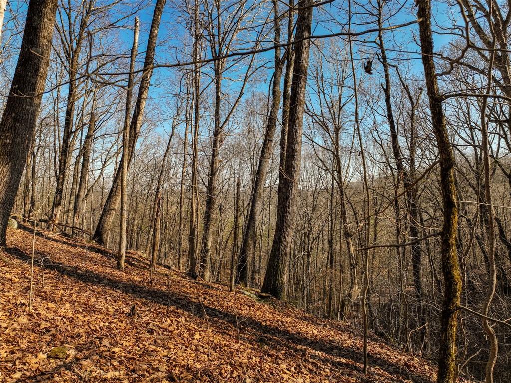 Lot 10 Mount Mincie Road Murrayville, GA 30564 - Photo 10 of 14 a view of a backyard of the house