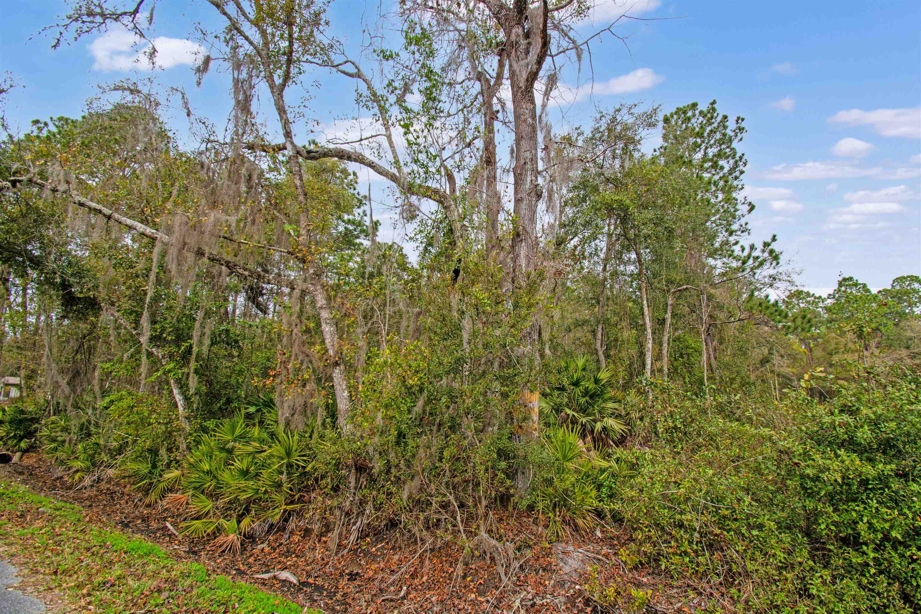 0 Riverdale Road St. Augustine, FL 32092 - Photo 9 of 17 Gallery Image 9