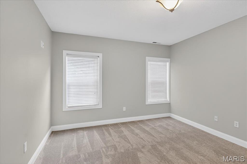 112 Locksley Court Troy, IL 62294 - Photo 65 of 96