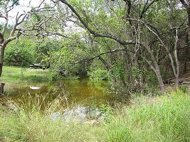 350 Bluff Road Spicewood, TX 78669 - Photo 3 of 22