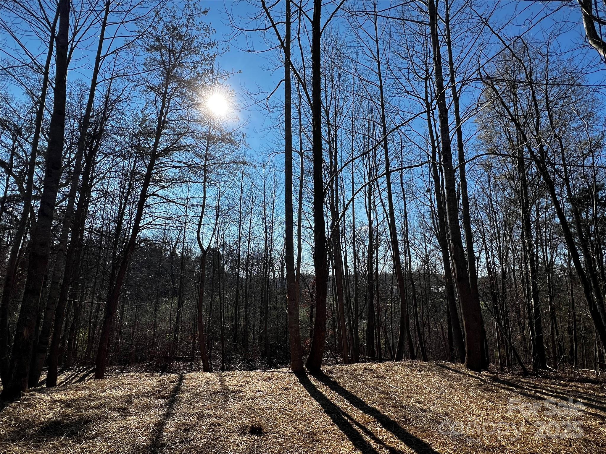 0 Fifth Creek Road Statesville, NC 28625 - Photo 1 of 43 a view of wooden fence