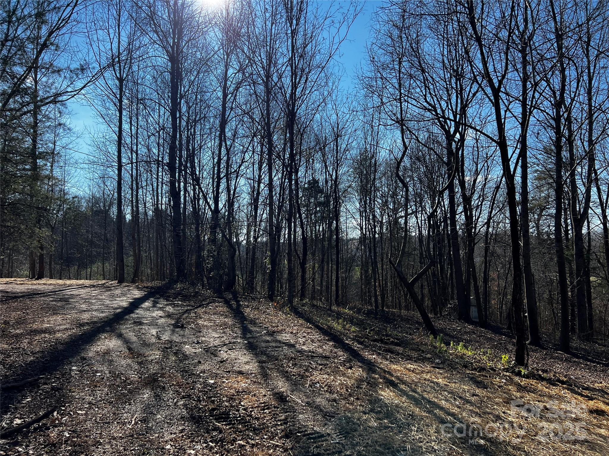 0 Fifth Creek Road Statesville, NC 28625 - Photo 2 of 43 a view of a yard with large trees and wooden fence