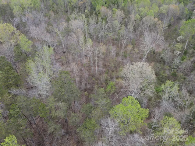 a view of a lake with a mountain in the background