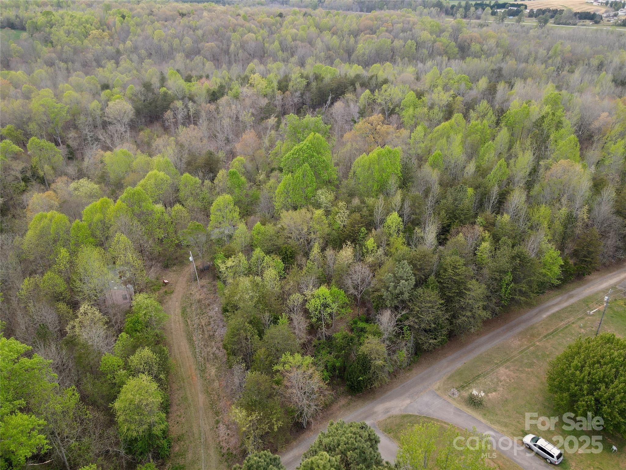 0 Fifth Creek Road Statesville, NC 28625 - Photo 29 of 43 a view of a forest with a street