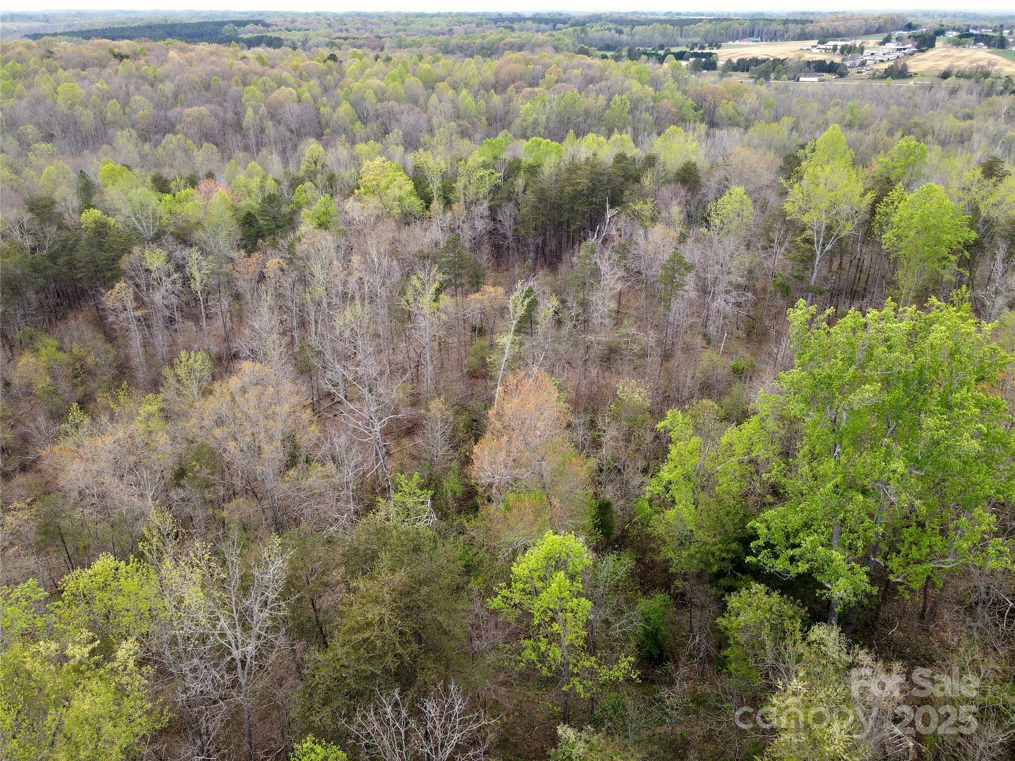 0 Fifth Creek Road Statesville, NC 28625 - Photo 30 of 43 a view of a forest with an outdoor space