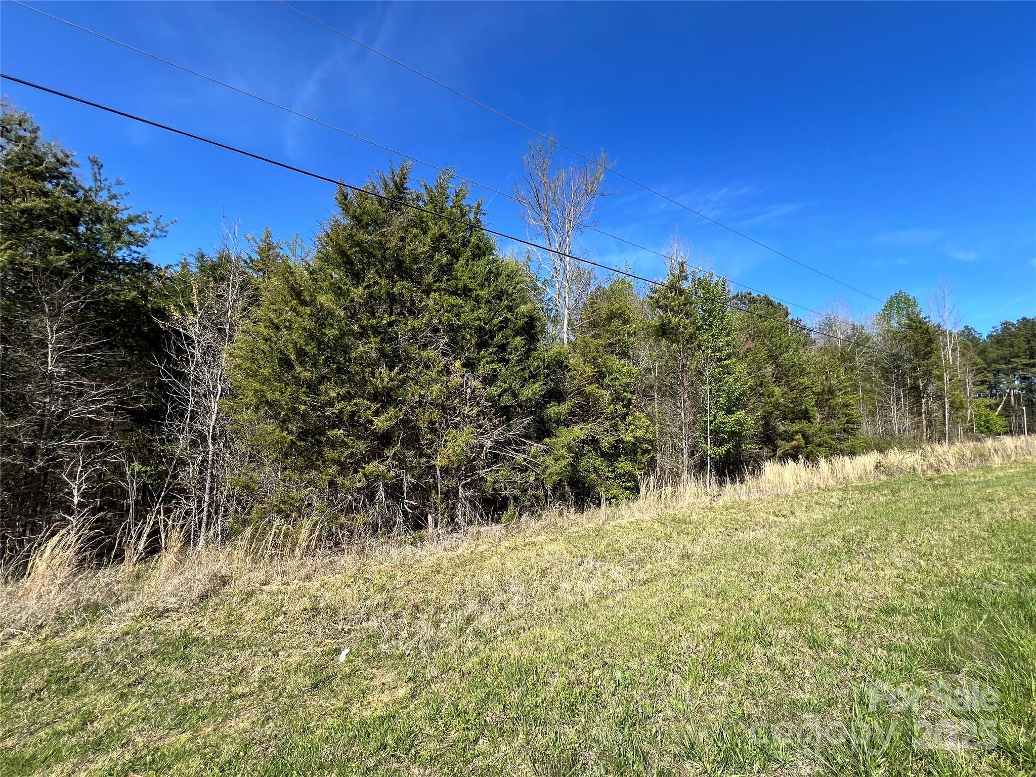 0 Fifth Creek Road Statesville, NC 28625 - Photo 33 of 43 a view of a yard