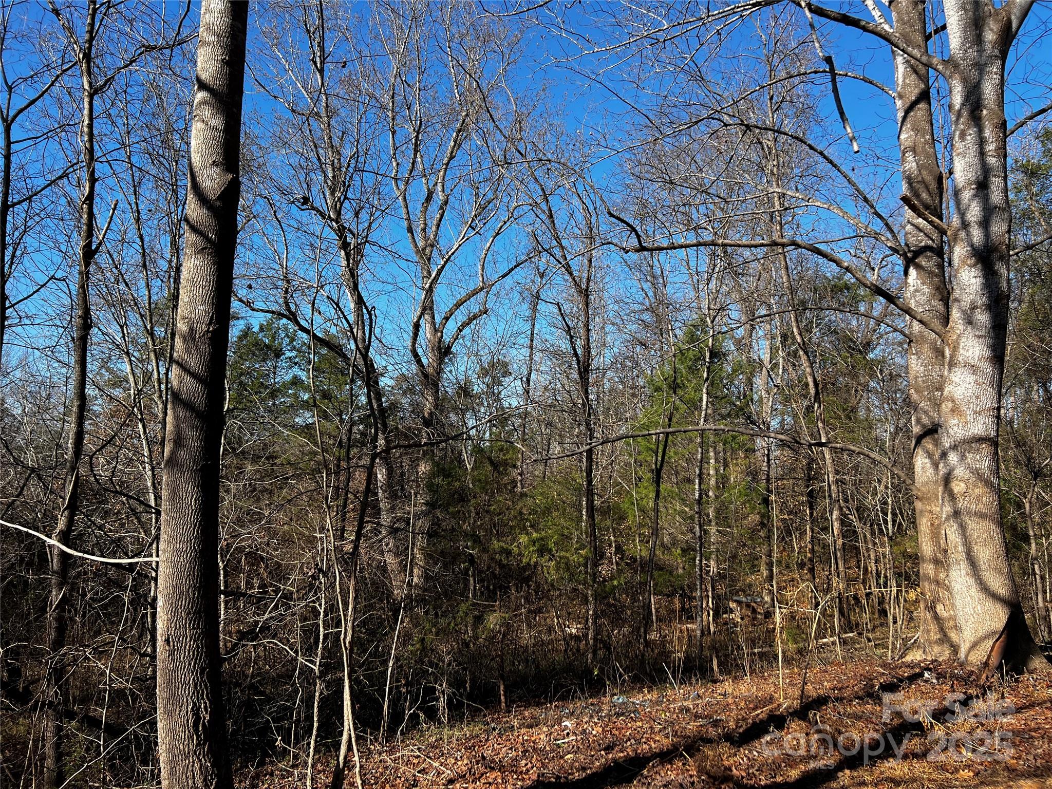 0 Fifth Creek Road Statesville, NC 28625 - Photo 37 of 43 a view of a yard