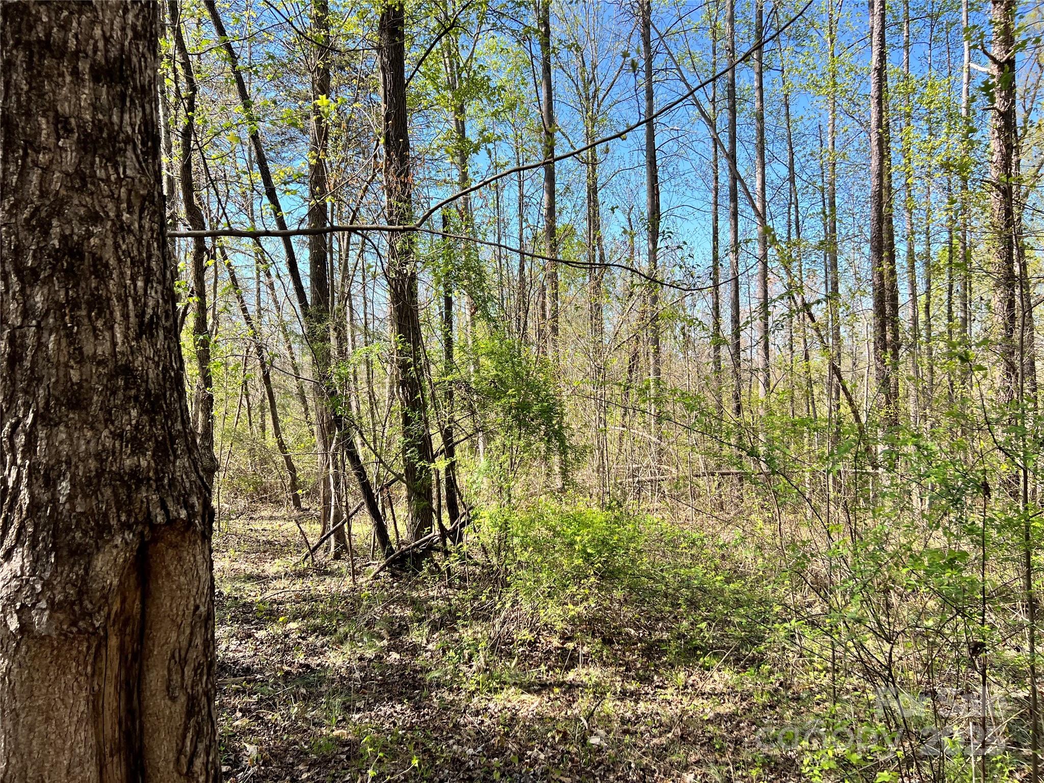 0 Fifth Creek Road Statesville, NC 28625 - Photo 4 of 43