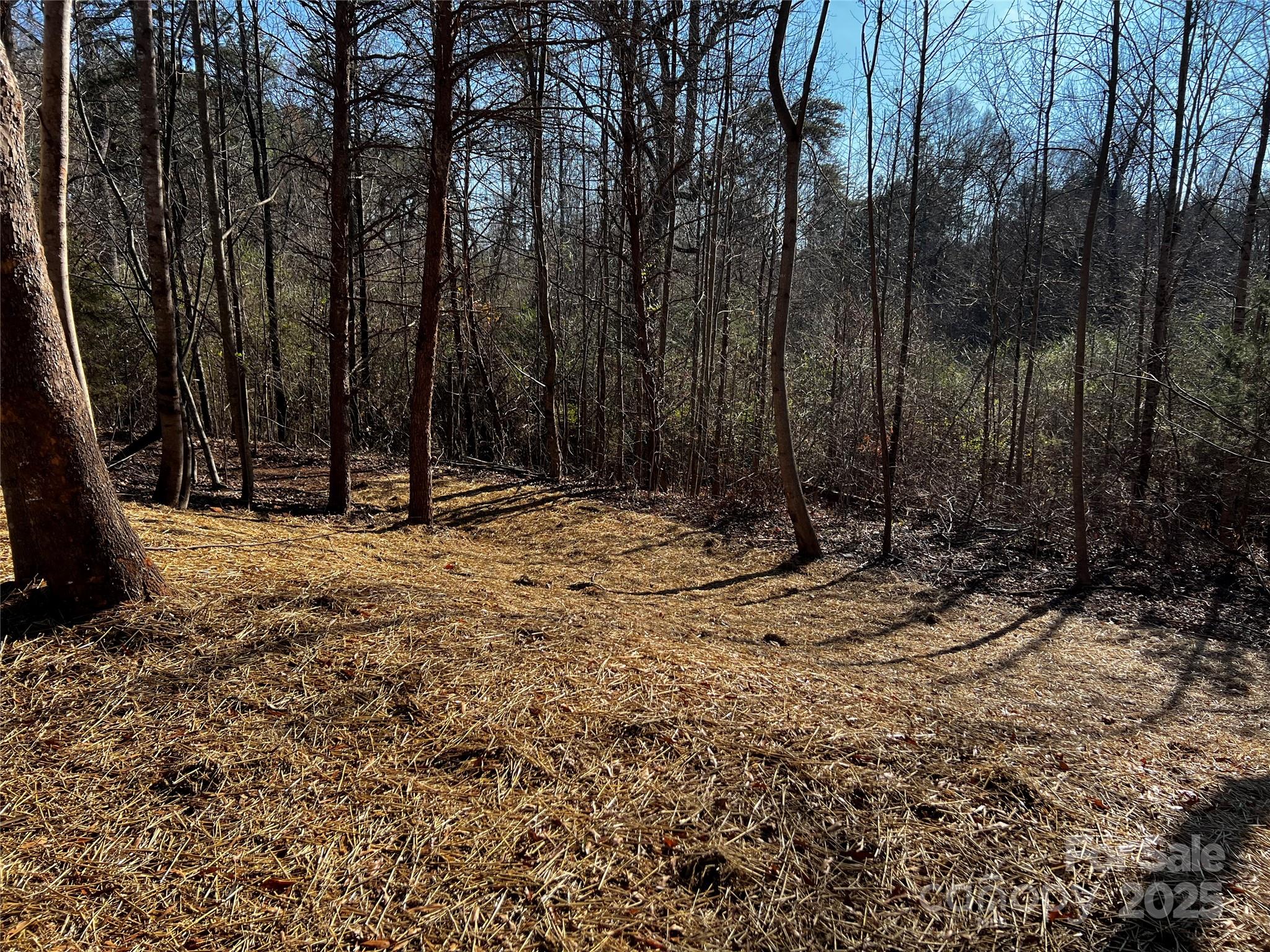0 Fifth Creek Road Statesville, NC 28625 - Photo 5 of 43 a view of outdoor space with trees