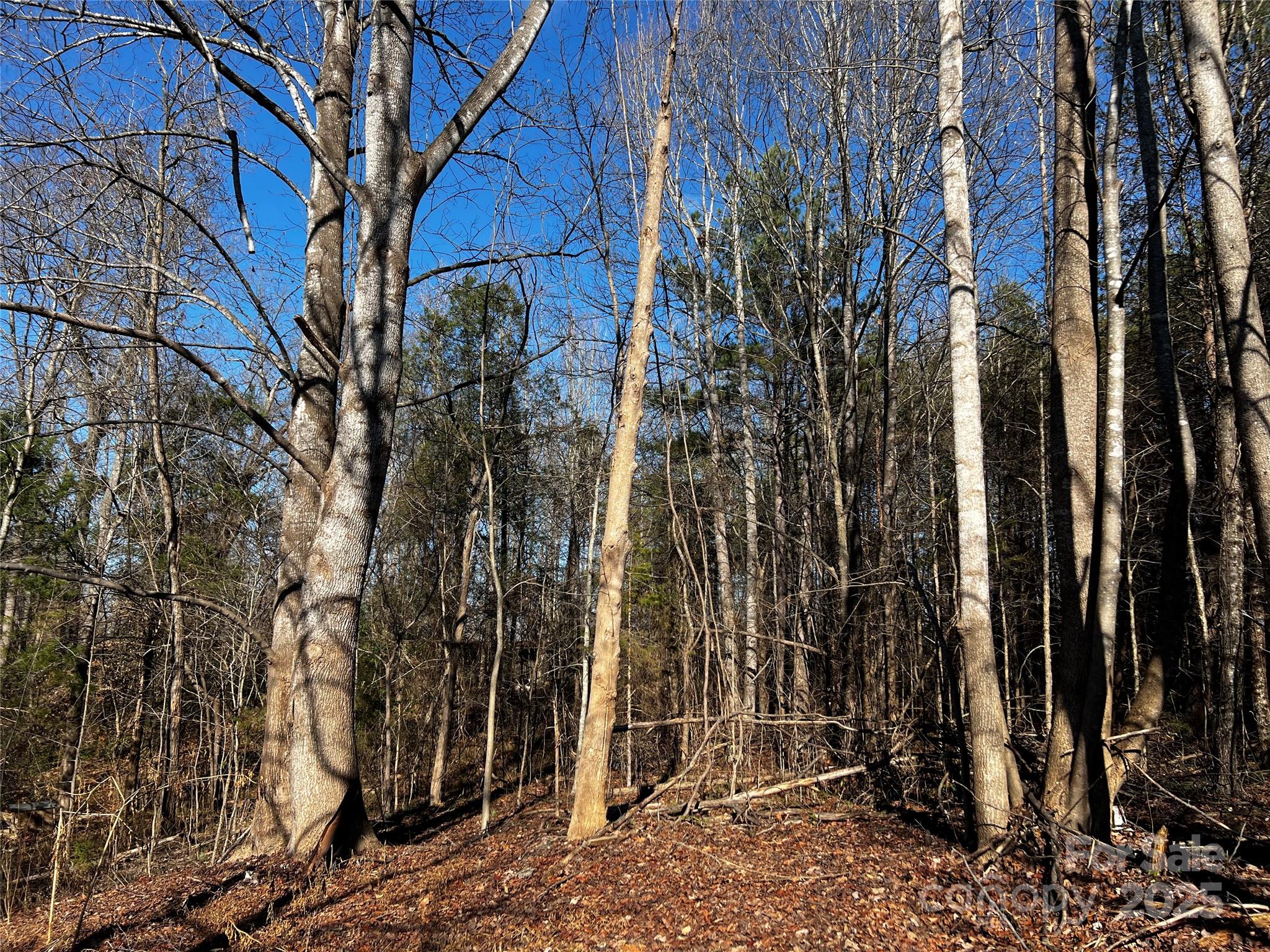 0 Fifth Creek Road Statesville, NC 28625 - Photo 9 of 43 a view of a pathway with a tree