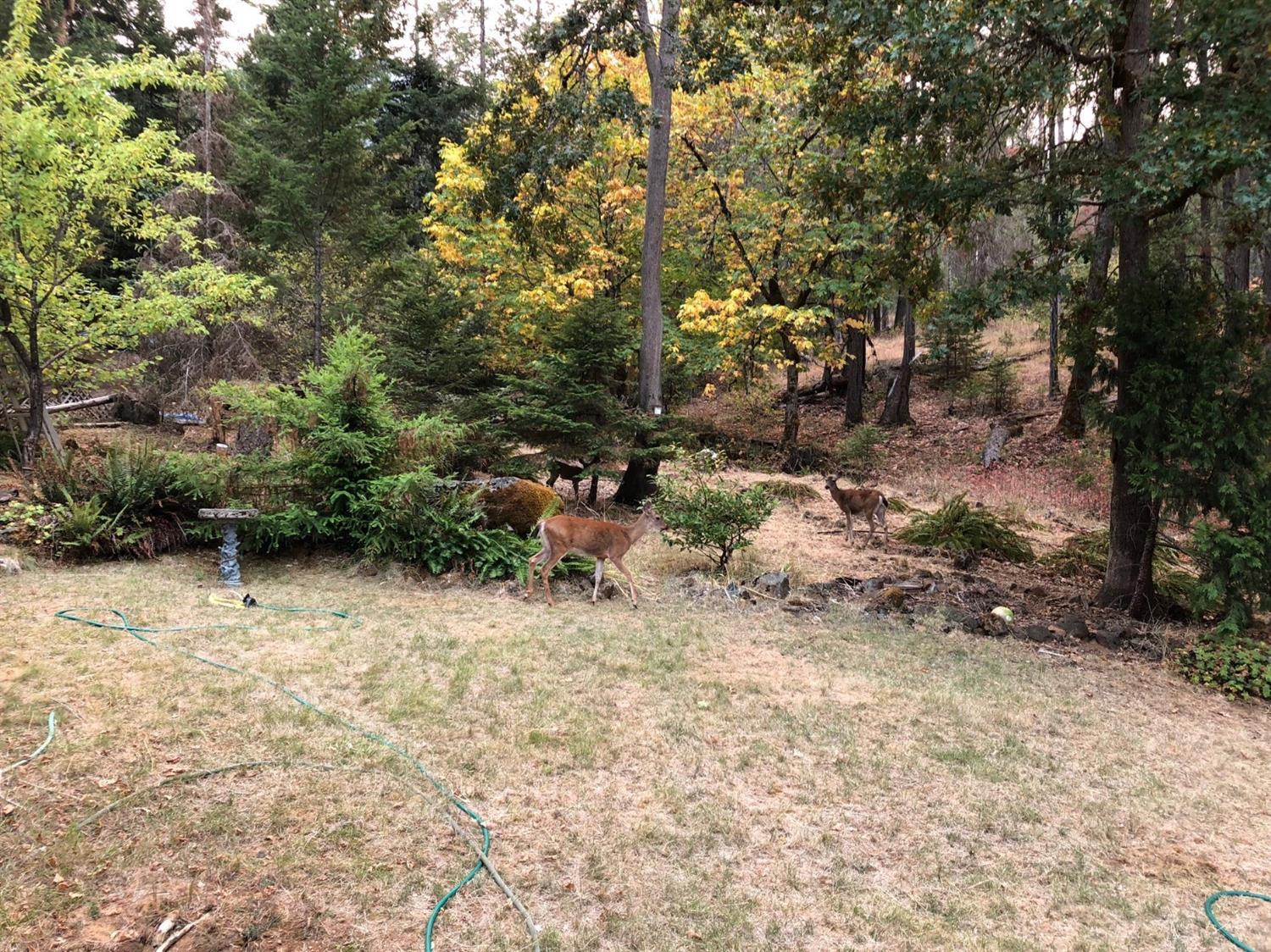 430 Beecher Road Wolf Creek, OR 97497 - Photo 5 of 11 Additional Photo