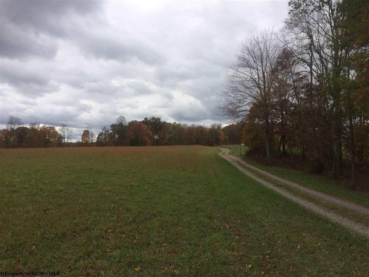 200 Pat Cale Road Masontown, WV 26542 - Photo 17 of 19 Gallery Image 17