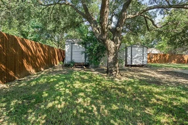 a view of backyard with tree
