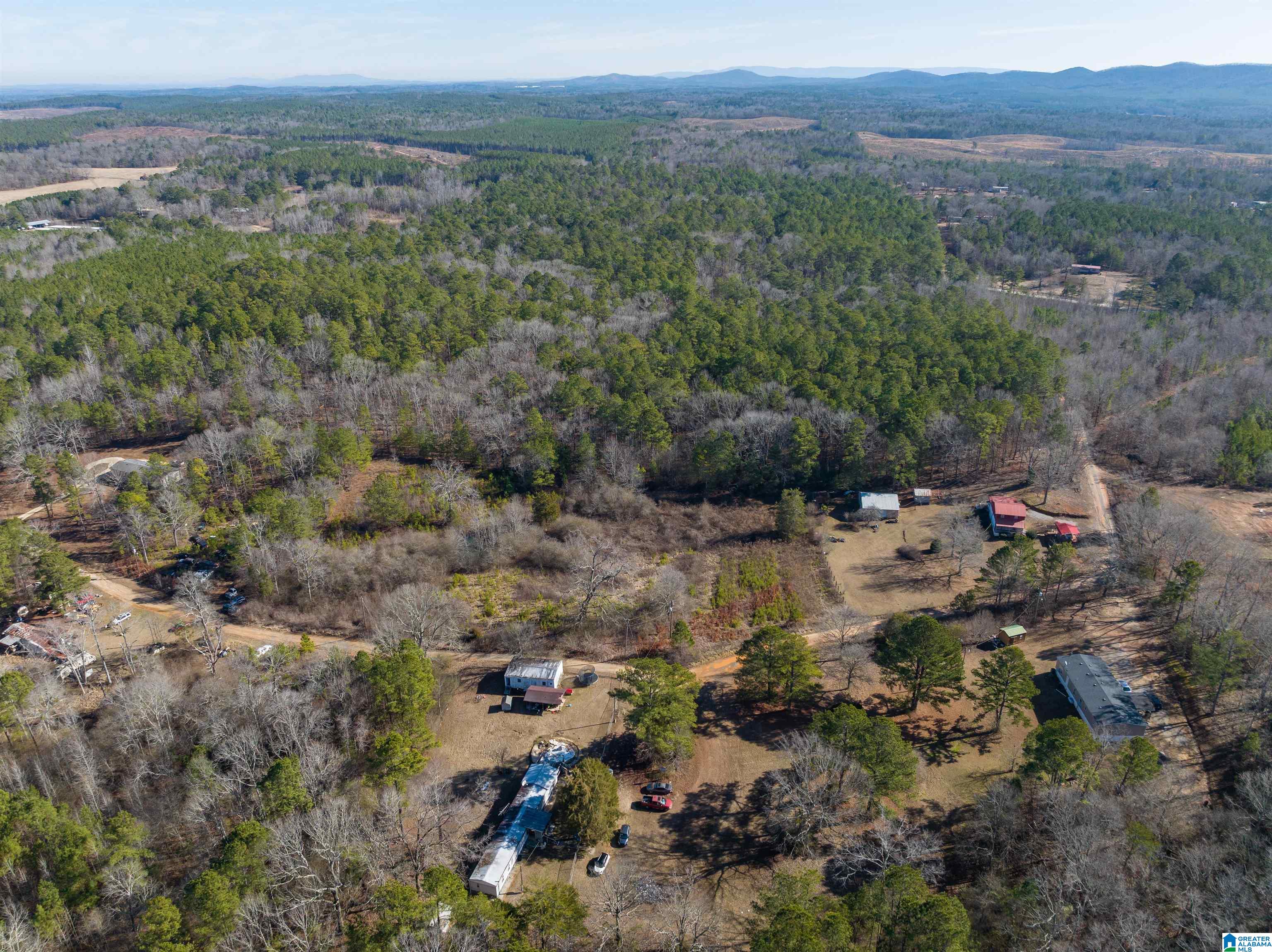 242 Strong Road Talladega, AL 35160 - Photo 38 of 51