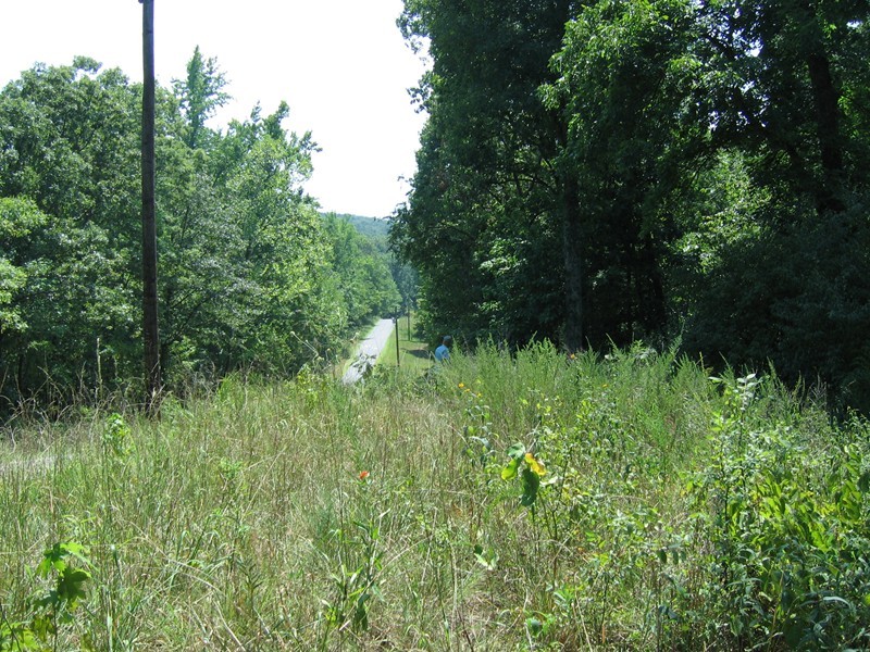 1 Rr 1 Shawnee Hollow Cave In Rock, IL 62919 - Photo 1 of 4