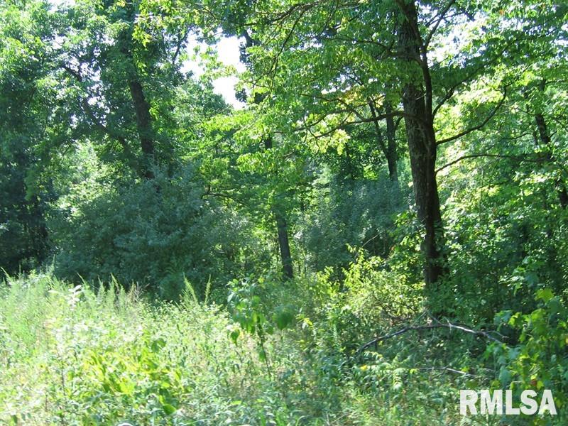 1 Rr 1 Shawnee Hollow Cave In Rock, IL 62919 - Photo 4 of 4