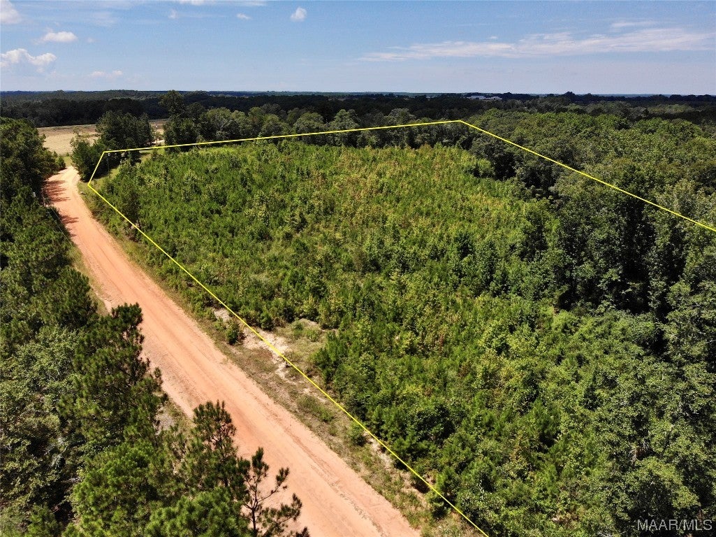 6-acres Old Elba Road Coffee Springs, AL 36318 - Photo 17 of 18 Gallery Image 17