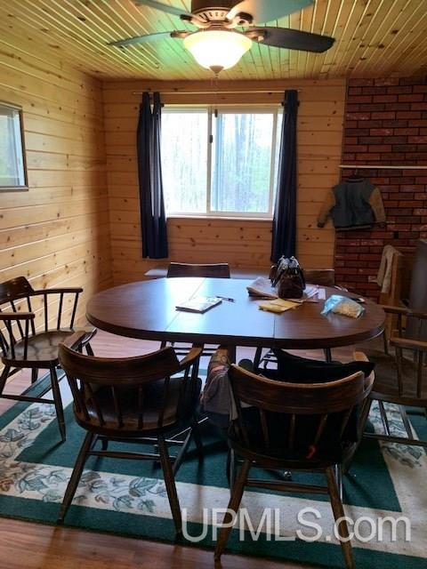 Tbd Tbd Peavy Falls Road Crystal Falls, MI 49920 - Photo 4 of 15