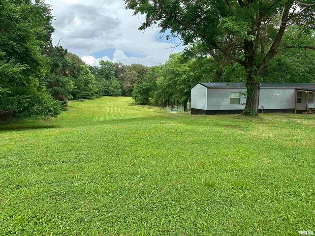 a backyard of a house with a garden and plants