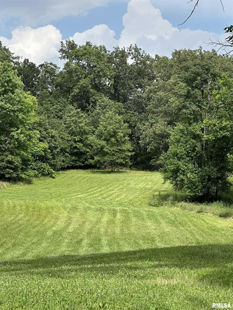 615 Liberty Road Harrisburg, IL 62946 - Photo 3 of 8 a view of a field with an outdoor space