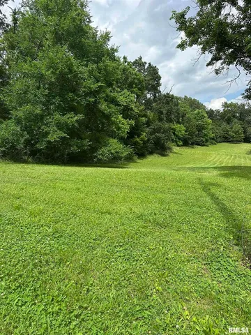 a view of a field with a trees in the background