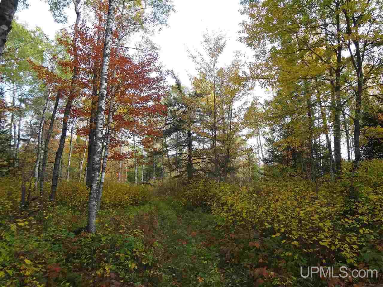 220 4 Corners Road Alpha, MI 49902 - Photo 16 of 34 Gallery Image 16