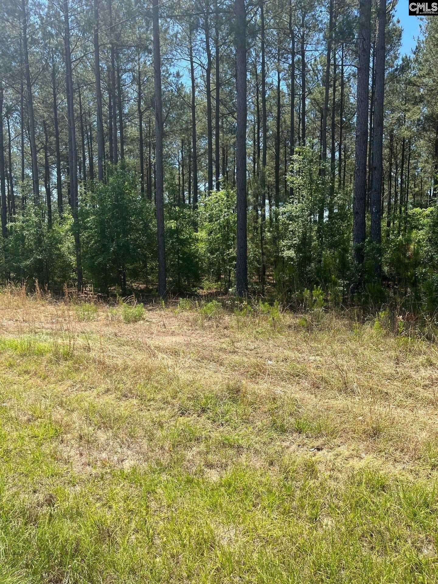 1 Salley Road Salley, SC 29137 - Photo 3 of 15 Gallery Image 3
