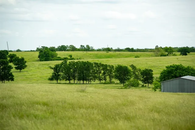 a view of a green field with wooden fence