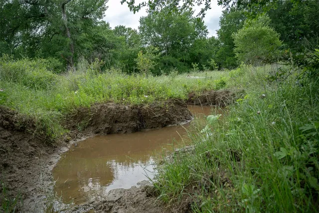 a view of a lake in a forest