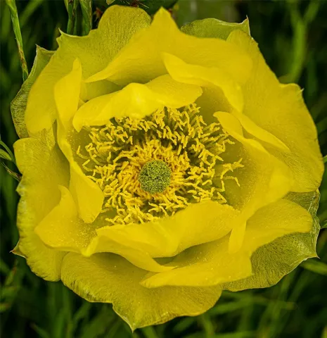 a view of a swimming pool