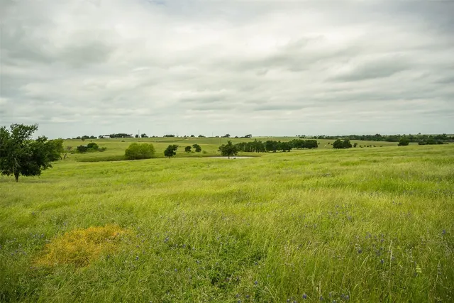 a view of a big yard with lots of green space
