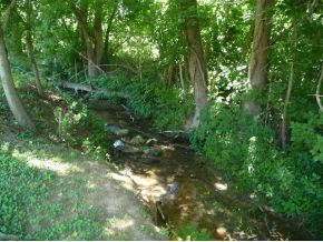 438 Telford School Road Limestone, TN 37681 - Photo 18 of 24 Creek along the back
