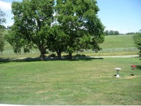 438 Telford School Road Limestone, TN 37681 - Photo 21 of 24 park like front yard