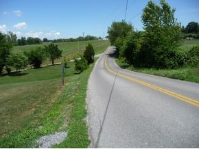 438 Telford School Road Limestone, TN 37681 - Photo 23 of 24 Country road view
