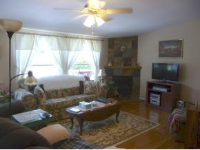 438 Telford School Road Limestone, TN 37681 - Photo 3 of 24 living room with fireplace