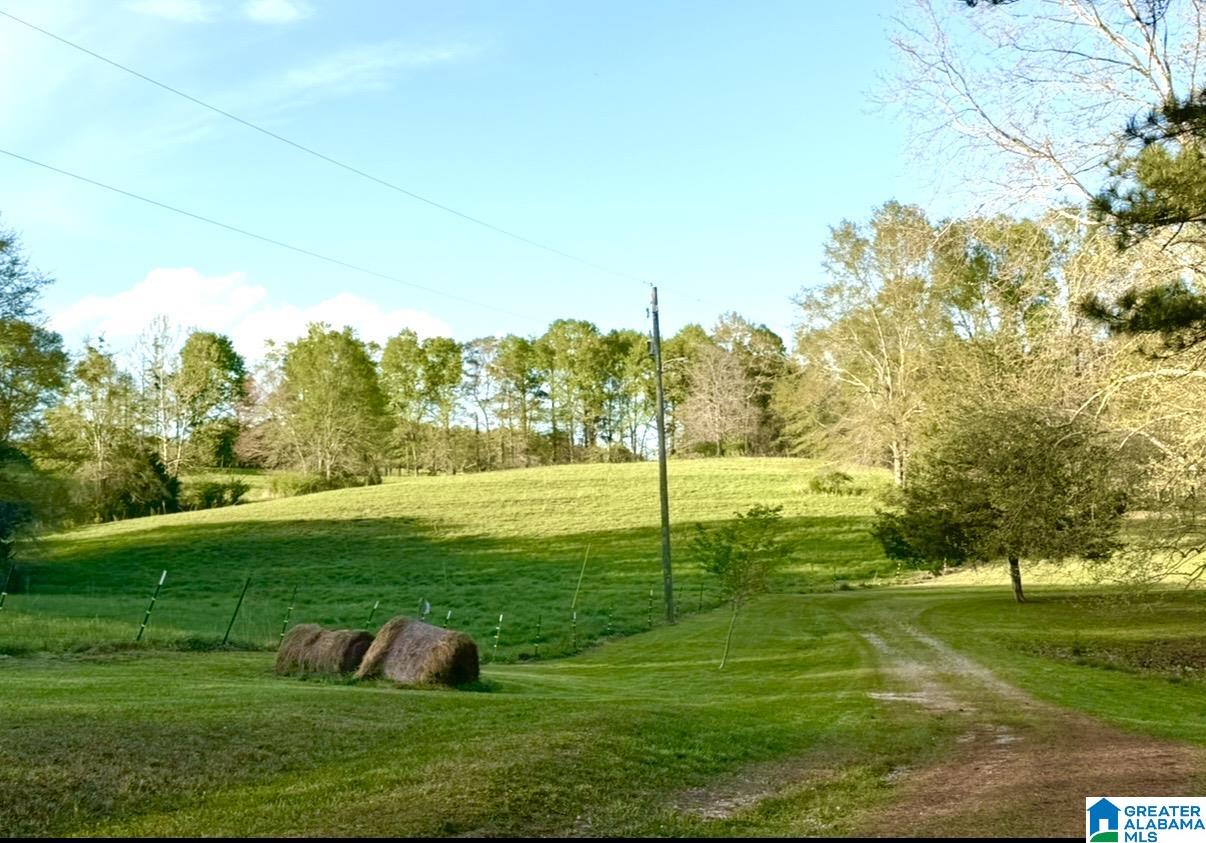 1749 McCollum Church Road Lineville, AL 36266 - Photo 48 of 66