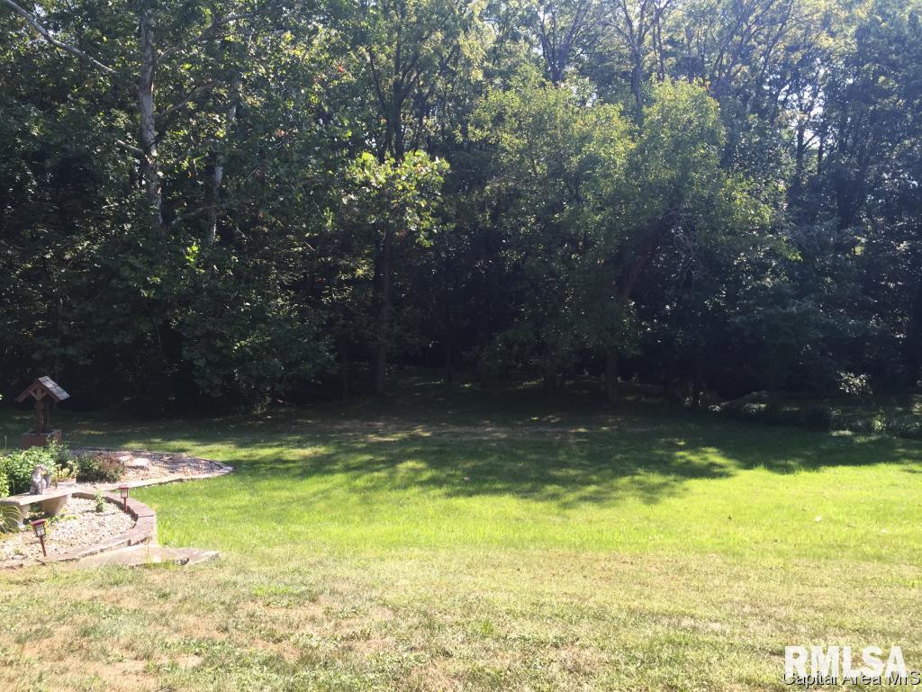 14 Boulder Point Drive Springfield, IL 62711 - Photo 21 of 25