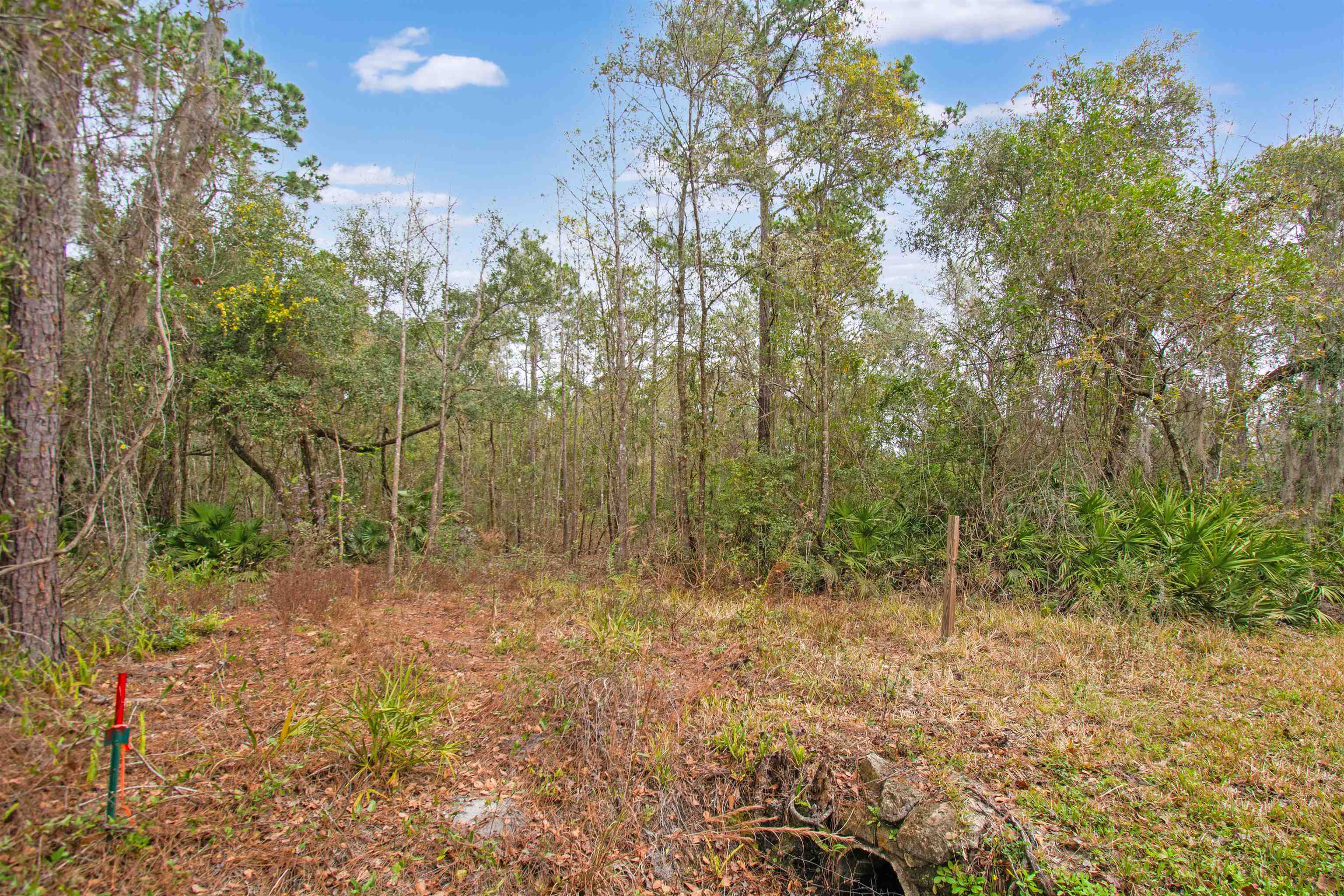 0 Riverdale Road St. Augustine, FL 32092 - Photo 15 of 17 Gallery Image 15