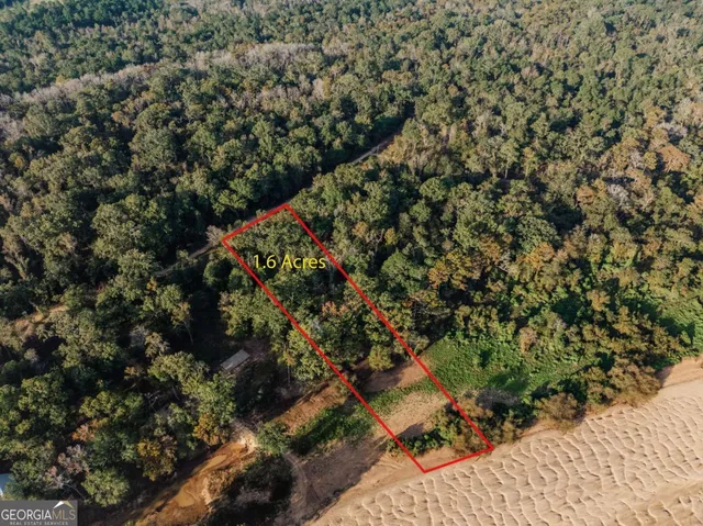 a view of a yard with plants and wooden fence