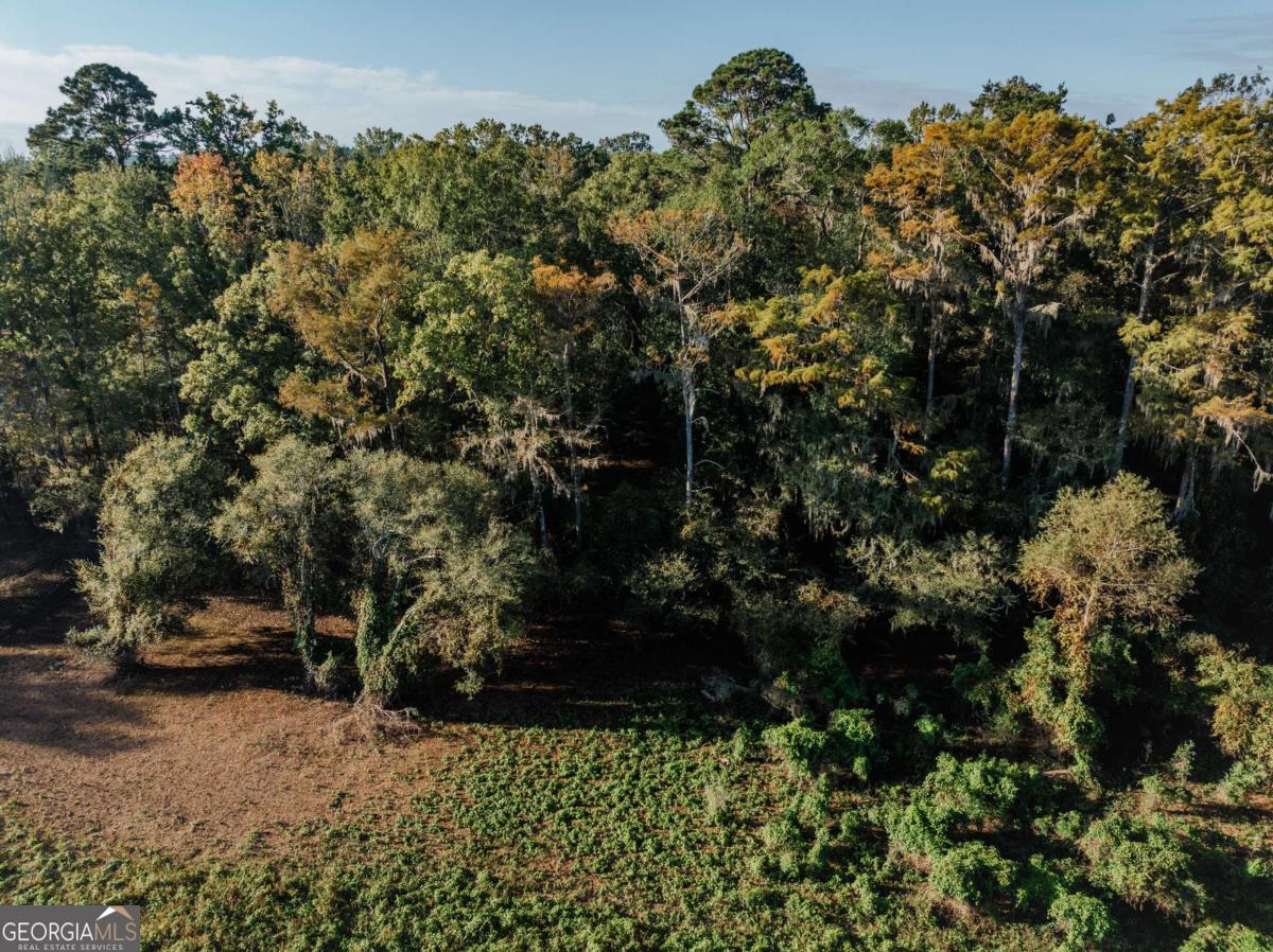 0 Eagles Point, Unit LOT 8 Surrency, GA 31563 - Photo 2 of 11 a view of outdoor space and yard