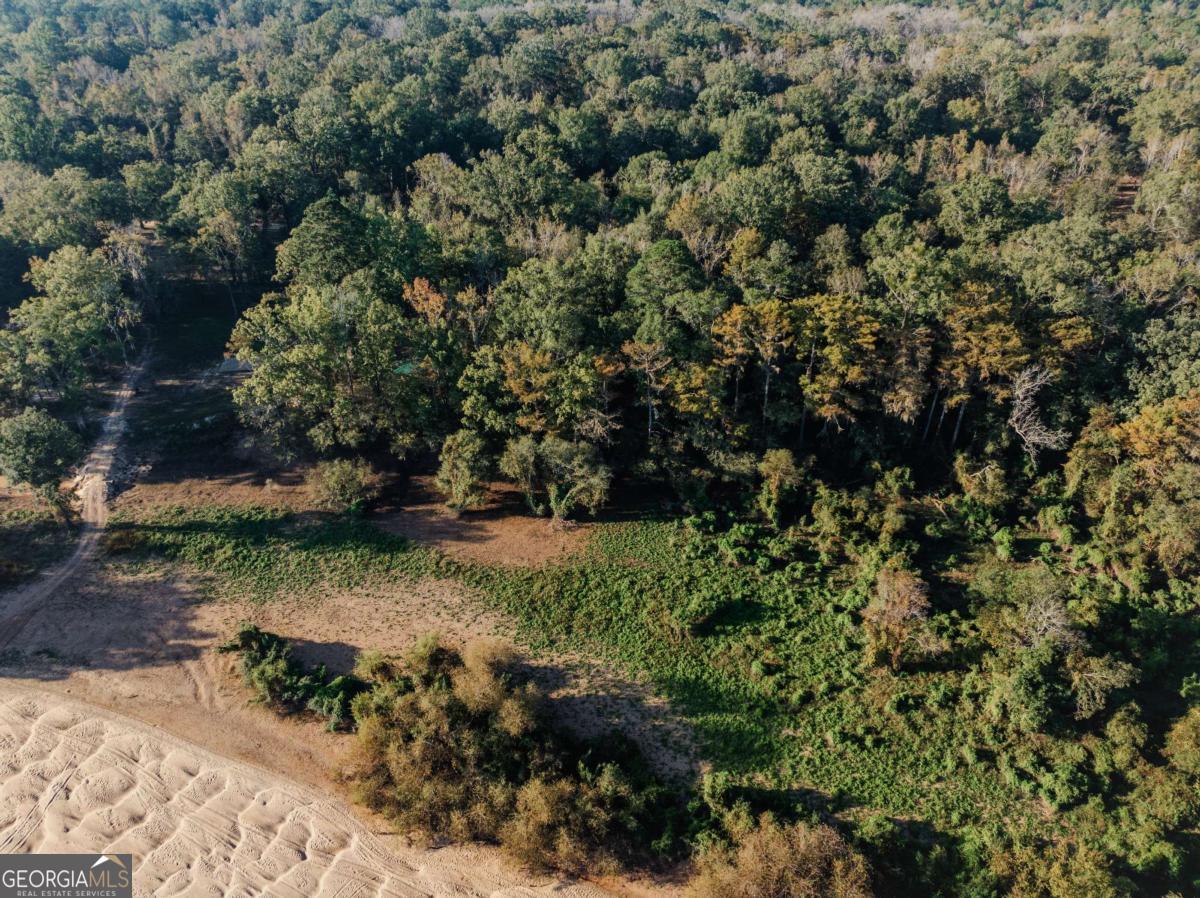 0 Eagles Point, Unit LOT 8 Surrency, GA 31563 - Photo 3 of 11 a view of a forest with trees