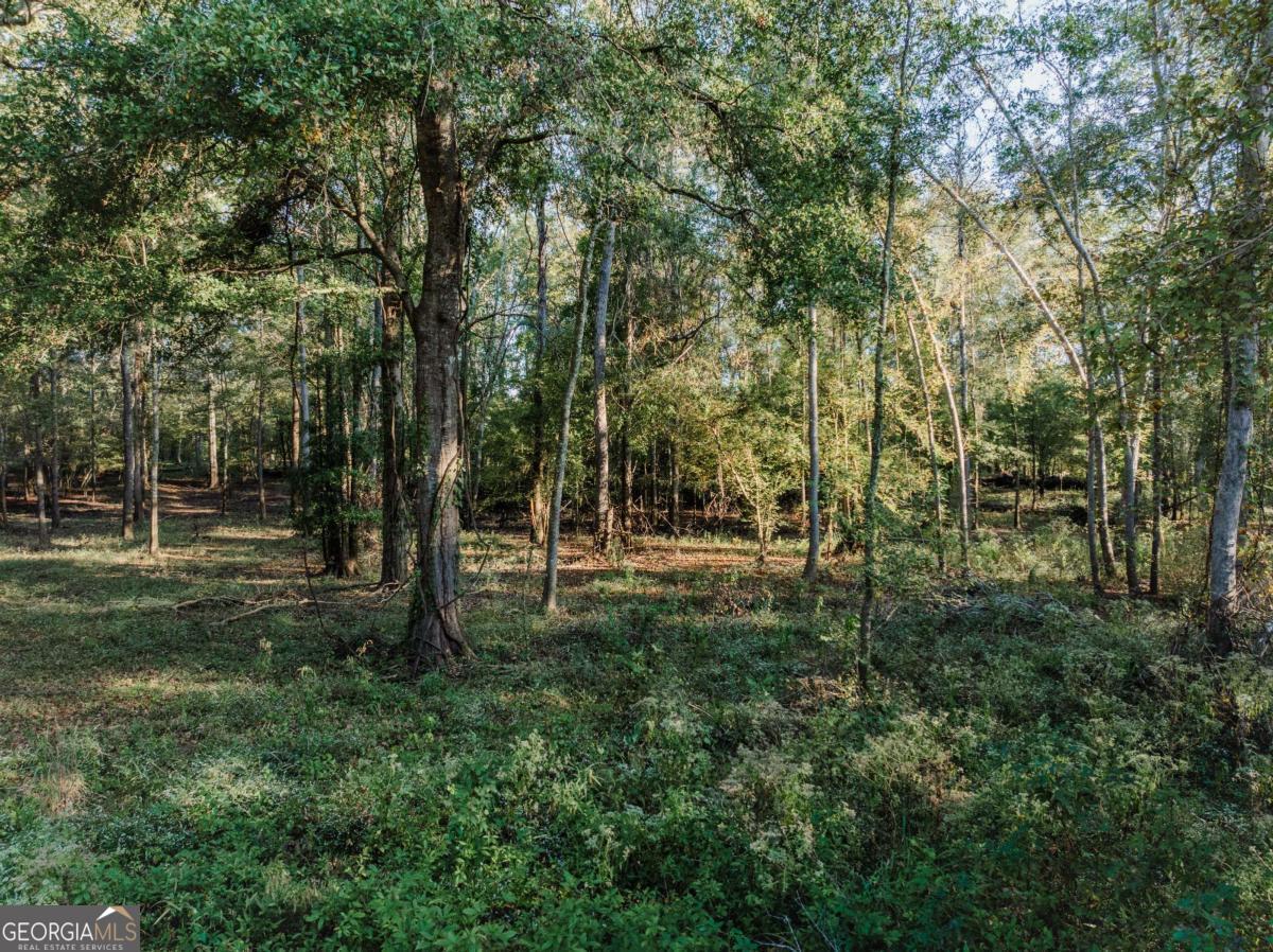 0 Eagles Point, Unit LOT 8 Surrency, GA 31563 - Photo 5 of 11 a view of a park that has large trees