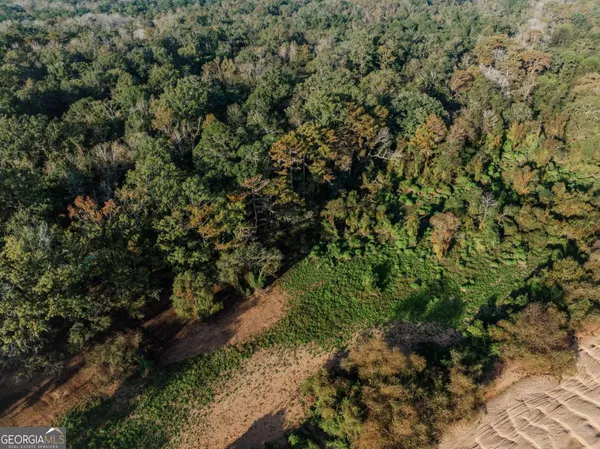 $79,900 | 0 Eagles Point, Unit LOT 8, Surrency, GA 31563