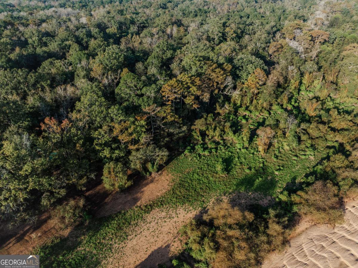 0 Eagles Point, Unit LOT 8 Surrency, GA 31563 - Photo 8 of 11 a view of a large yard with lots of green space
