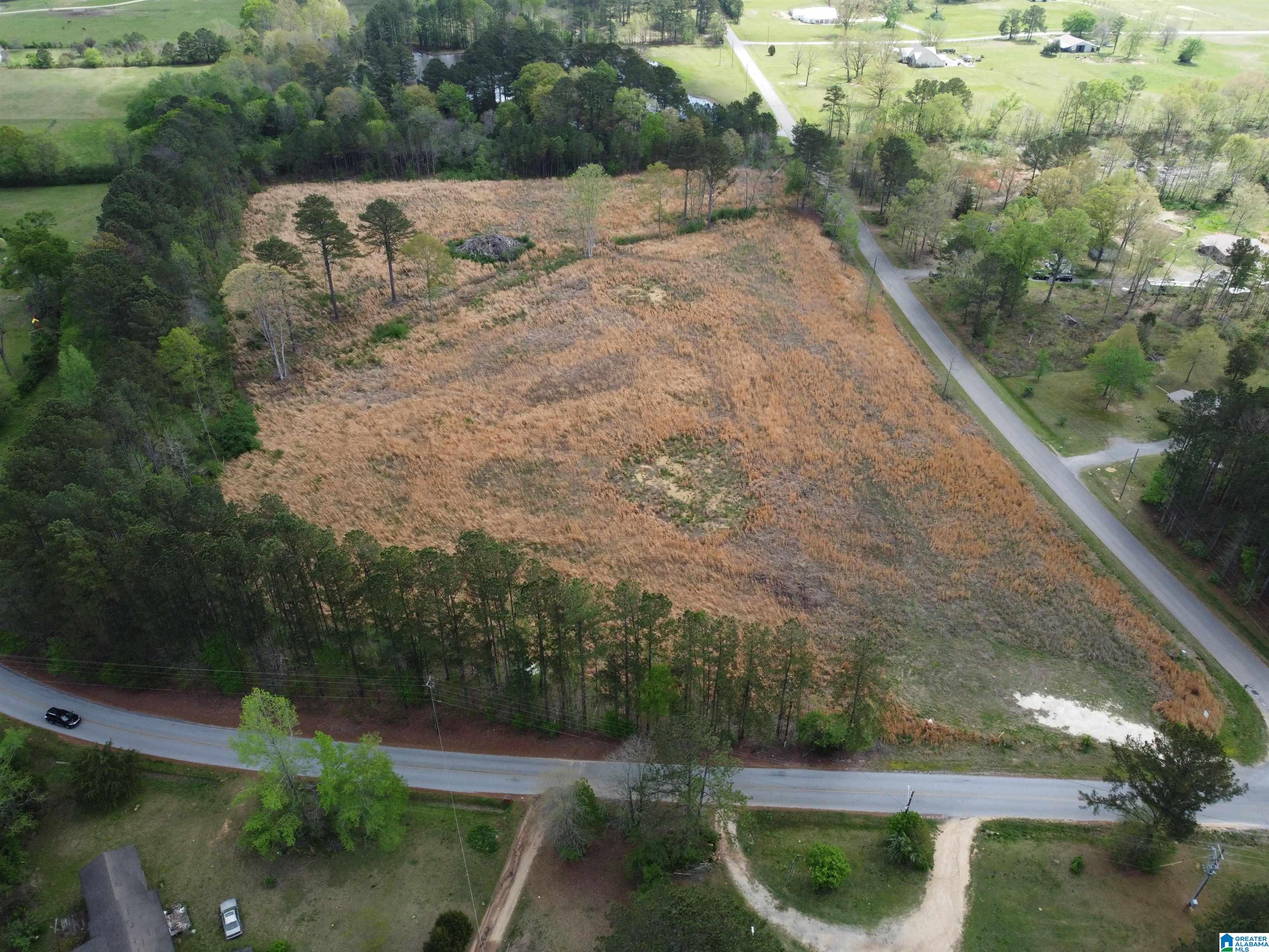 0 Greensport Road Ashville, AL 35953 - Photo 4 of 43
