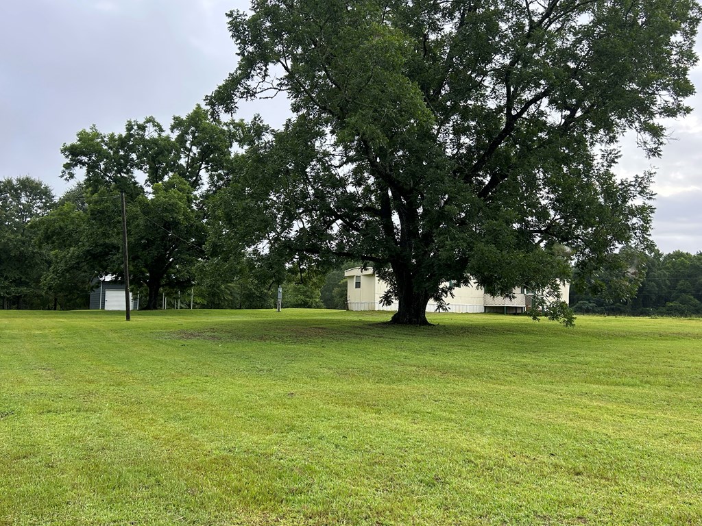 475 Gary Road Slocomb, AL 36375 - Photo 28 of 59