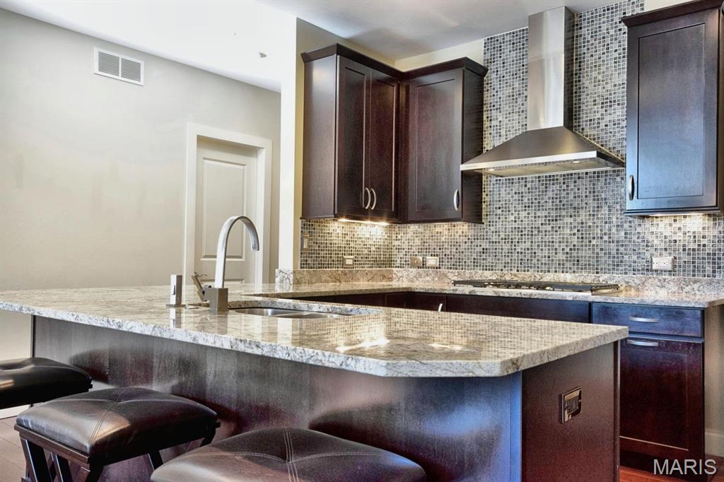 6451 Clayton Road, Unit 303 St. Louis, MO 63117 - Photo 5 of 18