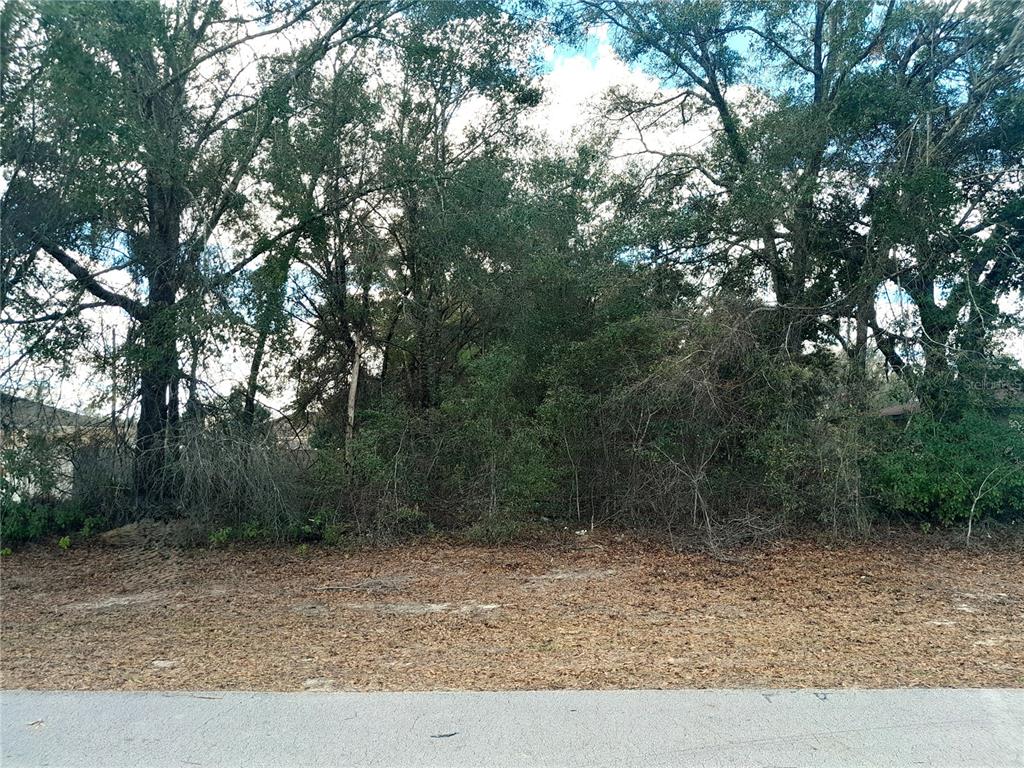 0 Southwest 28th Terrace Road Ocala, FL 34473 - Photo 1 of 3 Gallery Image 1